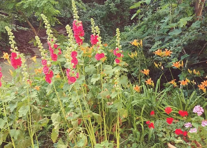 Apartment Astarta Riviera Nature