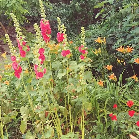 Apartment Astarta Riviera Nature